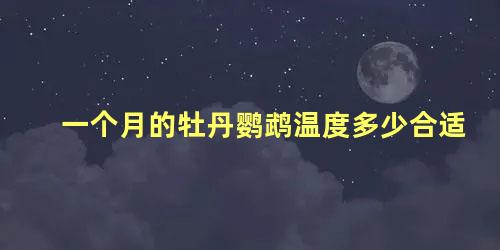 一个月的牡丹鹦鹉温度多少合适