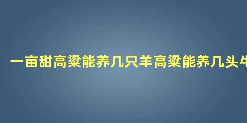 一亩甜高粱能养几只羊高粱能养几头牛