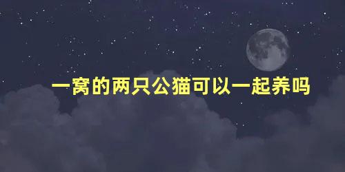 一窝的两只公猫可以一起养吗