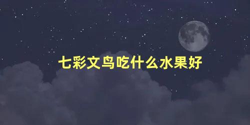 七彩文鸟吃什么水果好