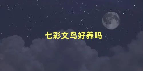 七彩文鸟好养吗