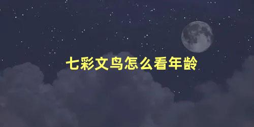 七彩文鸟怎么看年龄