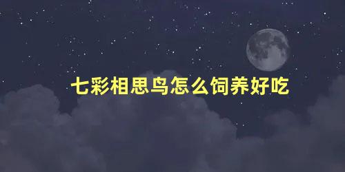 七彩相思鸟怎么饲养好吃