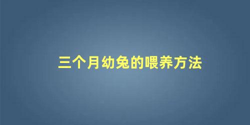 三个月幼兔的喂养方法