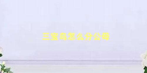 三宝鸟怎么分公母