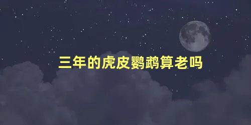 三年的虎皮鹦鹉算老吗