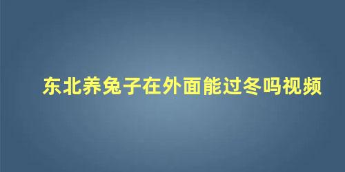 东北养兔子在外面能过冬吗视频