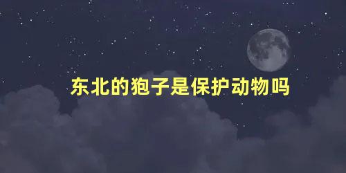 东北的狍子是保护动物吗