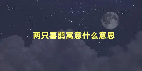 两只喜鹊寓意什么意思