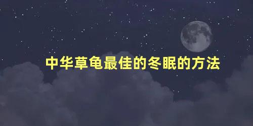 中华草龟最佳的冬眠的方法