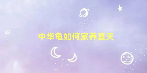 中华龟如何家养夏天