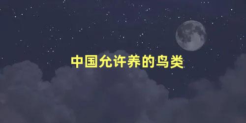 中国允许养的鸟类