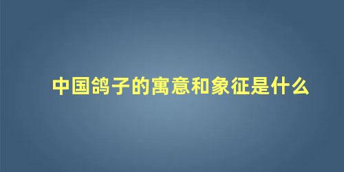 中国鸽子的寓意和象征是什么