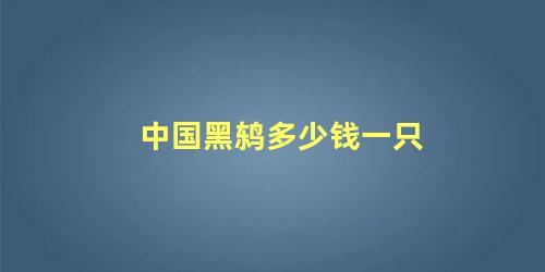 中国黑鸫多少钱一只