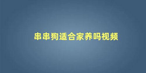 串串狗适合家养吗视频