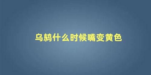 乌鸫什么时候嘴变黄色