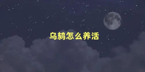 乌鸫怎么养活