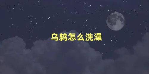 乌鸫怎么洗澡