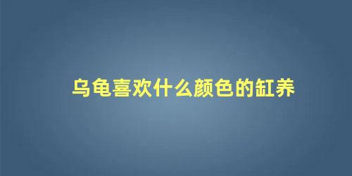 乌龟喜欢什么颜色的缸养