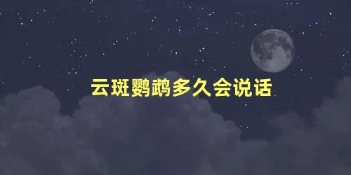 云斑鹦鹉多久会说话