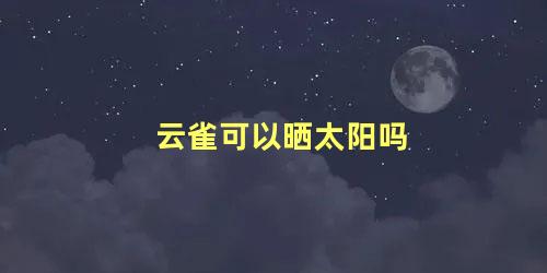 云雀可以晒太阳吗