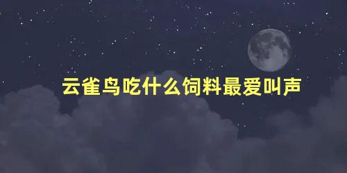 云雀鸟吃什么饲料最爱叫声