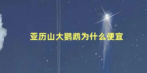 亚历山大鹦鹉为什么便宜