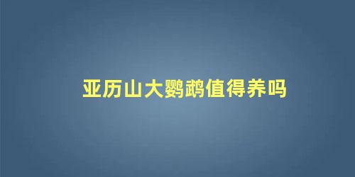 亚历山大鹦鹉值得养吗