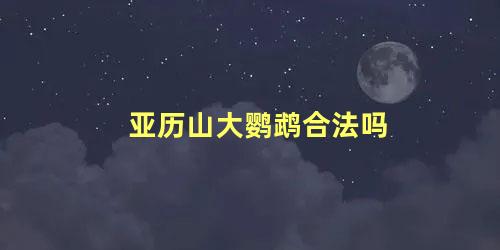 亚历山大鹦鹉合法吗