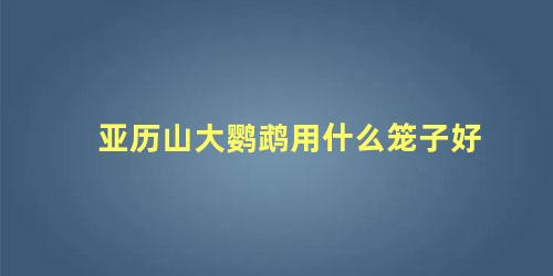 亚历山大鹦鹉用什么笼子好