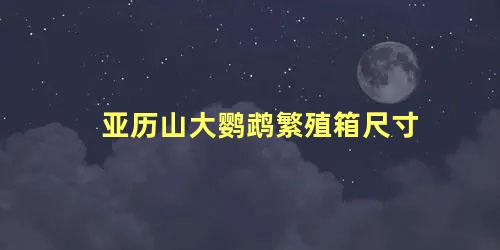 亚历山大鹦鹉繁殖箱尺寸