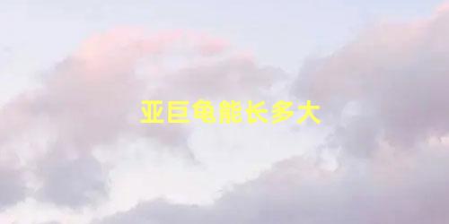 亚巨龟能长多大