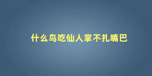 什么鸟吃仙人掌不扎嘴巴