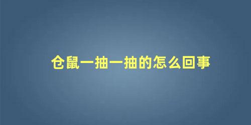 仓鼠一抽一抽的怎么回事