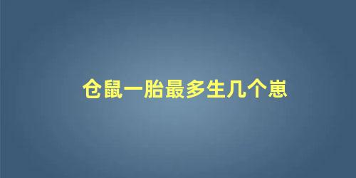 仓鼠一胎最多生几个崽