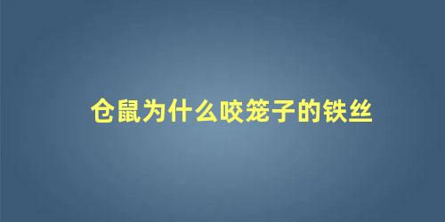 仓鼠为什么咬笼子的铁丝