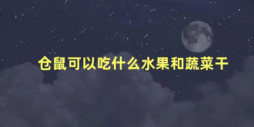 仓鼠可以吃什么水果和蔬菜干