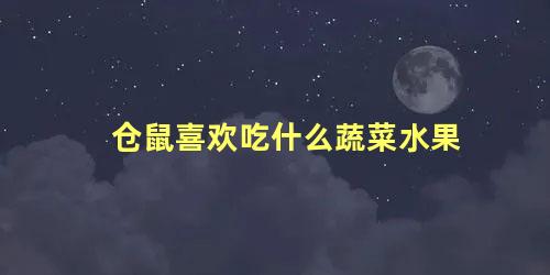 仓鼠喜欢吃什么蔬菜水果