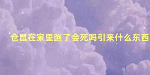 仓鼠在家里跑了会死吗引来什么东西