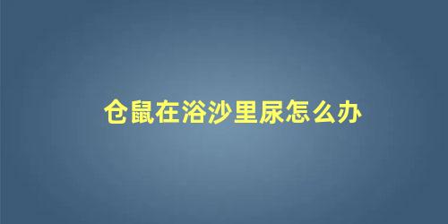 仓鼠在浴沙里尿怎么办