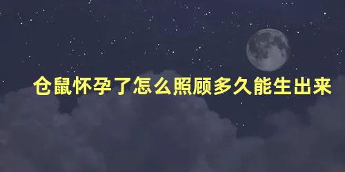 仓鼠怀孕了怎么照顾多久能生出来