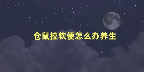 仓鼠拉软便怎么办养生