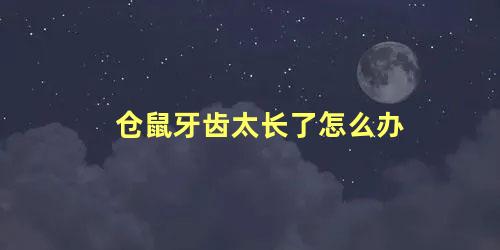 仓鼠牙齿太长了怎么办