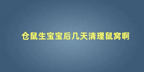 仓鼠生宝宝后几天清理鼠窝啊