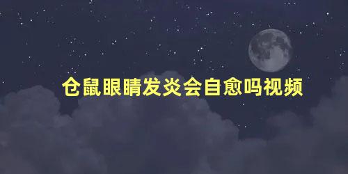 仓鼠眼睛发炎会自愈吗视频