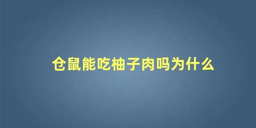 仓鼠能吃柚子肉吗为什么