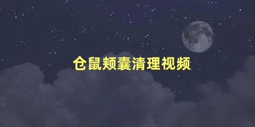 仓鼠颊囊清理视频