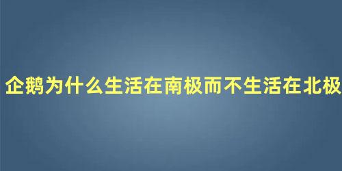 企鹅为什么生活在南极而不生活在北极,60只企鹅去哪了