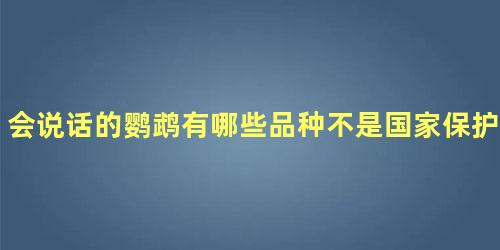 会说话的鹦鹉有哪些品种不是国家保护动物