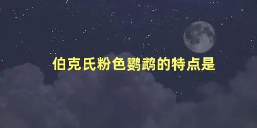 伯克氏粉色鹦鹉的特点是